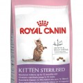 Royal Canin Kitten macskaeledel sterilised 2kg