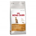 Royal Canin macskaeledel Exigent 42 Protein 400g