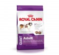 Royal Canin kutyaeledel Giant Adult 15kg