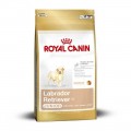 Royal Canin kutyaeledel Labrador Retriever Junior 3kg