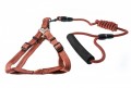 Barna hám és póráz szett "S"méret, 1.5cm x 30-50cm