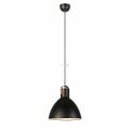 Markslöjd 106550 Eagle 1xE27 függesztett lámpa