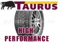 TAURUS HIGH PERFORMANCE 205/55R16 91W