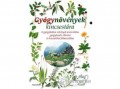 Alexandra Kiadó Gyógynövények kincsestára