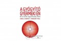Animus Kiadó Erika J. Chopic - A gyógyító gyermeki én