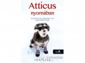 Könyvmolyképző Kiadó Tom Ryan - Atticus nyomában