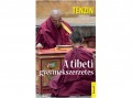 Kossuth Kiadó Zrt Tenzin - A tibeti gyermekszerzetes