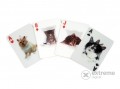KIKKERLAND franciakártya, 3D macskák