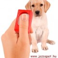Klikker Klikker--hatékony eszköz a kutya tanítása, kiképzése során