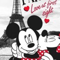Minnie Disney törölköző fürdőlepedő párizs