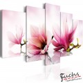 Kép - Magnolias: pink flowers