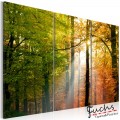ArtGeist sp. z o o. Kép - A calm autumn forest