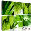 ArtGeist sp. z o o. Kép - Fresh green leaves