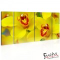 ArtGeist sp. z o o. Kép - Orchids - intensity of yellow color