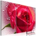 ArtGeist sp. z o o. Kép - Lady Rose - triptych