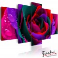 ArtGeist sp. z o o. Kép - Multicoloured rose