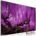 ArtGeist sp. z o o. Kép - Wisteria