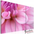 ArtGeist sp. z o o. Kép - Pink dália