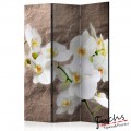 ArtGeist sp. z o o. Paraván - Impeccability of the Orchid [Room Dividers]