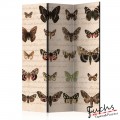 ArtGeist sp. z o o. Paraván - Retro Style: Butterflies [Room Dividers]