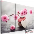 ArtGeist sp. z o o. Kép - Zen: Cherry Blossoms II