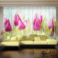 ArtGeist sp. z o o. Fotótapéta - Tulips on white wood