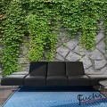 ArtGeist sp. z o o. Fotótapéta - Green wall