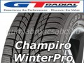 GT RADIAL CHAMPIRO WINTERPRO 205/60R16 92H
