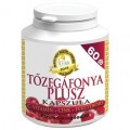 Celsus Tőzegáfonya 60db