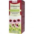 JutaVit Echinacea cseppek 50ml