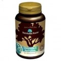 Rainforest BIO Chlorella - Spirulina tabletta 500mg 300db