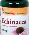 Echinacea 250mg (90) Bíbor kasvirág Vitaking