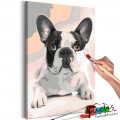 ArtGeist sp. z o o. Kifestő - French Bulldog