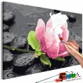 ArtGeist sp. z o o. Kifestő - Pink Flower and Stones