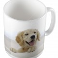 Kutya - Golden retriever bögre