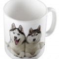 Kutyák - Husky bögre