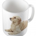 Kutya - Golden retriever kölyök bögre