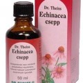 Dr. Theiss Echinacea csepp, 50 ml - Immunerősítésre