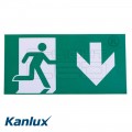 Kanlux EXIT PICTO-DOWN2-N ábra 300x150mm