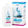 Silicea gél HÜBNER 500ml