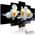 ArtGeist sp. z o o. Kép - Orchids with orange accent