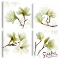 ArtGeist sp. z o o. Kép - Admiration of Magnolia