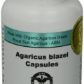 Aloha Medicinals Agaricus Blazei mandulagomba kapszula, 500 mg, 90 db