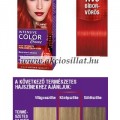 Schwarzkopf Palette Intensive Color Creme RV6 Bíbor Vörös krémhajfesték