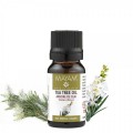 Elemental Mayam Ausztrál teafa (tea tree) illóolaj, bio* (melaleuca alternifolia), 10 ml