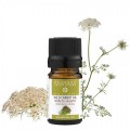 Elemental Mayam Répamag illóolaj, tiszta (daucus carota), 5 ml