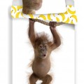 Állatos Orangután ágyneműhuzat 140x200cm 70x90cm