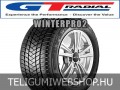 GT RADIAL WINTERPRO2 195/55R16 91H XL