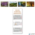 DAYLINER Naptár, speditőr, három hónapos, három tömbös,