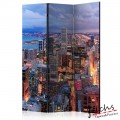 ArtGeist sp. z o o. Paraván - Illuminated Chicago [Room Dividers]